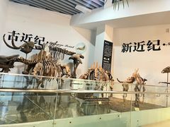 -烟台自然博物馆
