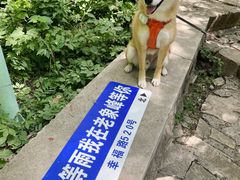 -老象峰