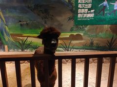 -绿色星球动物主题公园