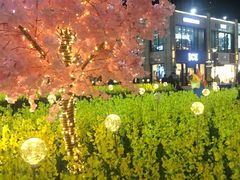 -首创奥特莱斯(昆山店)