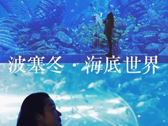 -哈尔滨波塞冬海底世界