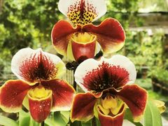 -华南国家植物园-售票处