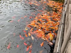 -孔氏南宗家庙