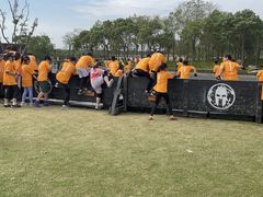 -春花秋色城市公园