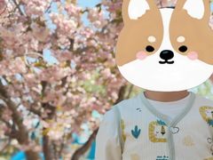 -羊亭河湿地公园