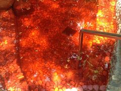 iphone_upload_pic-金方森林温泉