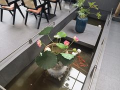 -单家老院·院子里的青岛菜(沙子口店)