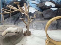 -海合安青岛极地海洋公园