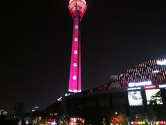 -339旋转餐厅(天府熊猫塔店)