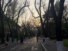 -山东大学(趵突泉校区)