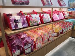 零售区-嘉华鲜花饼(万达店)