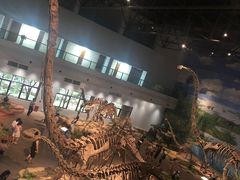 -自贡恐龙博物馆