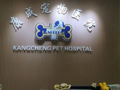-康成宠物医院24H·CT·核磁共振