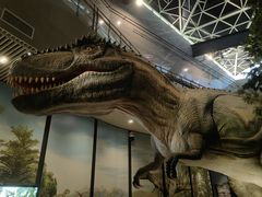 -湖南省地质博物馆