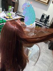 -salon漫