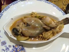 -孔庆璞河豚馆(白玉兰酒店)