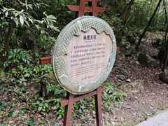 -重庆武隆天生三桥风景区-神鹰天坑