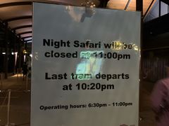 -夜间野生动物园