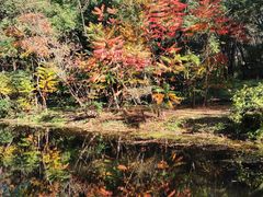 -长白岛森林公园