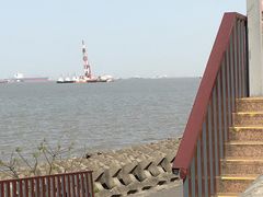 -上海滨江森林公园