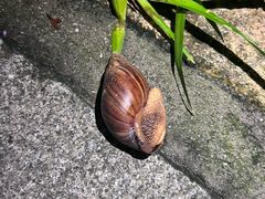 -么哈MOJAR(厦门云城万科里店)