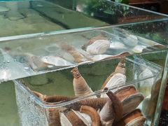 -樱之盛宴·蟹料理海鲜自助(前进大街店)