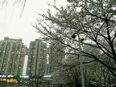 -喷泉公园