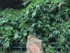 -杭州黄龙洞