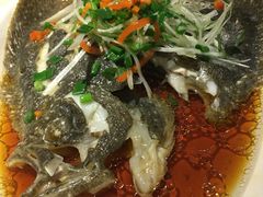 -阿英煲(凉城路店)