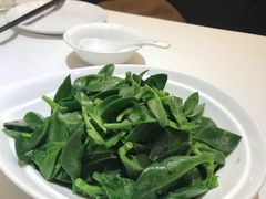 凉拌田七-金春禧(世茂国际广场店)