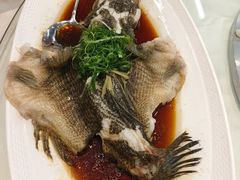 -渔意楼·驰名沙田乳鸽(五羊店)