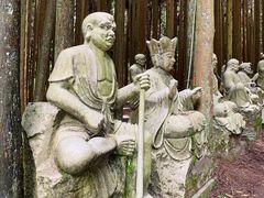 -武陵山森林公园