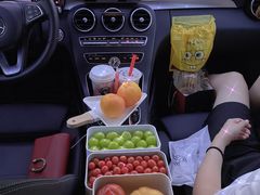 -枫花园汽车电影院(朝阳公园店)