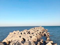 -东疆建设开发纪念公园