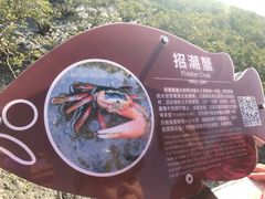 -北海金海湾红树林生态旅游区