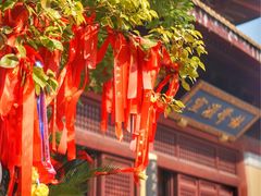 -亭林园-华藏寺