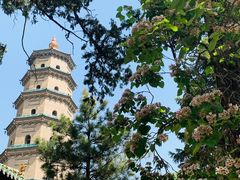 -晋祠公园