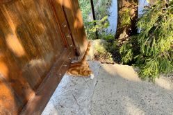 -前小桔亲子创意农场·草莓采摘·露营烧烤