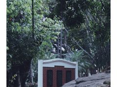 -晓港公园