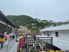 -珞珈山-售票处