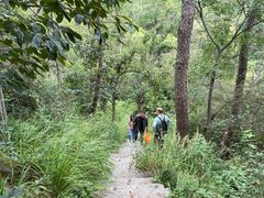 -青龙山国家森林公园