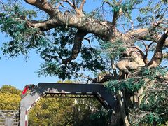 -中华恐龙园