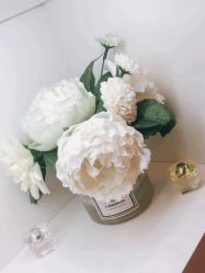 -美肤盾祛痘·问题肌头疗管理中心