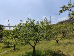 -中国移动南方基地