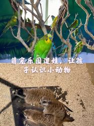 -未来动物城动物主题公园(大悦城店)