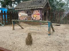 -杭州千岛湖开元度假村