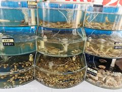 水产区-叶存利海鲜大馅饺子(东戴河止锚湾店)