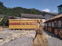 -高荡千年布依古寨旅游景区