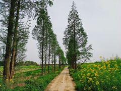 -小鱼草莓采摘园农家乐·小鱼餐厅