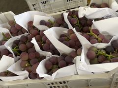 -西郊国际农产品交易中心